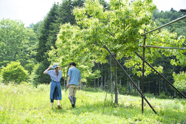 3. 空家査定方法の理解