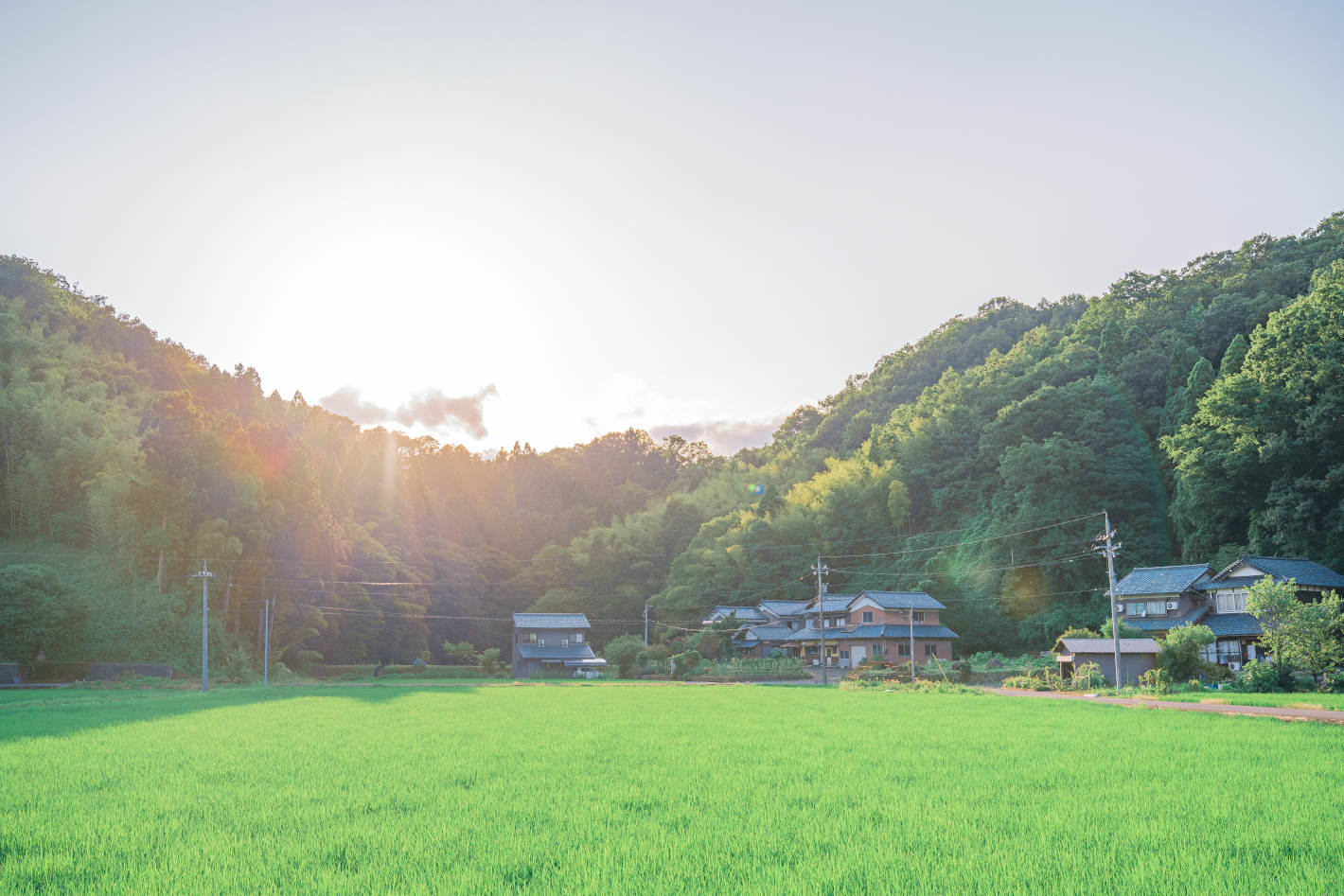 地域密着で伝える物件の魅力